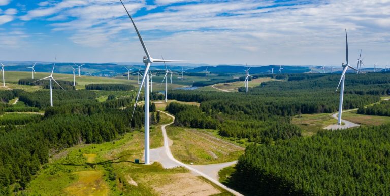 Druga co do wielkości farma wiatrowa w Polsce uruchomiona przez firmę należącą do najbogatszej kobiety w kraju