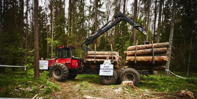 Polskie prawo nie chroni odpowiednio lasów, uważa unijny sąd