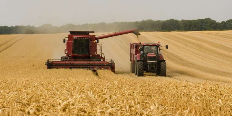 Polska wprowadza natychmiastowy zakaz importu produktów rolnych z Ukrainy