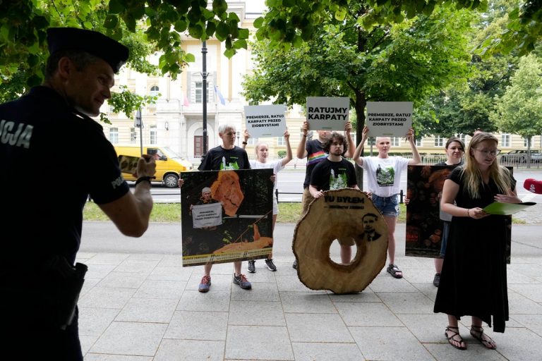 Greenpeace protestuje przeciwko masowej wycince starych lasów w Karpatach