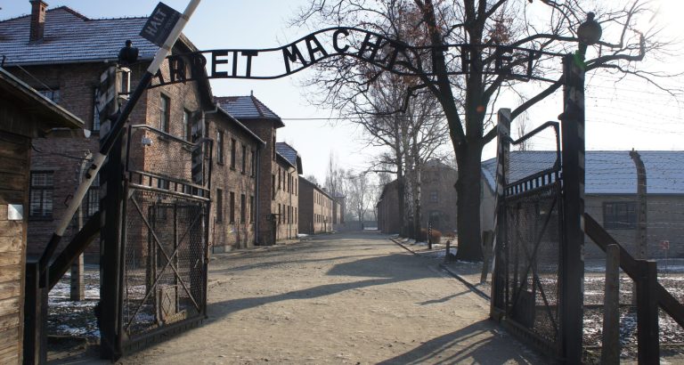 Justice minister orders investigation into TV commentator’s “house migrants in Auschwitz” remarks