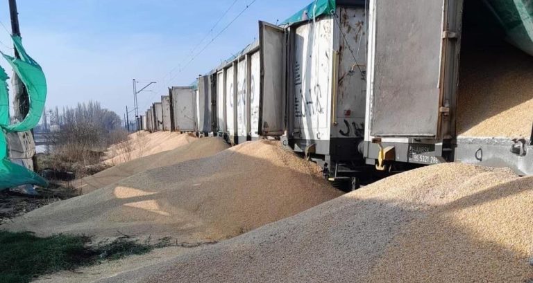Ukraine condemns dumping of grain transiting through Poland