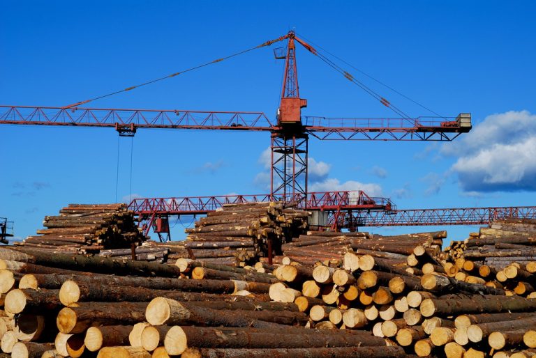Belarus evading EU sanctions by importing timber to Poland with false documents, finds investigation