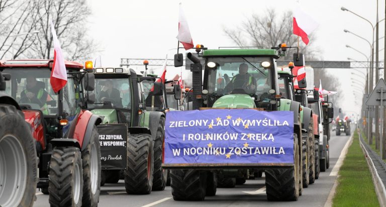 Polish parliament calls for EU sanctions on Russian agricultural imports
