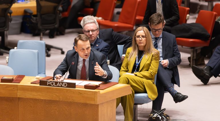 Polish foreign minister hits back at Israeli ambassador for UN Palestine vote criticism