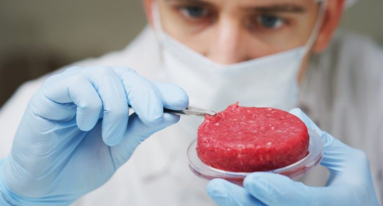 Poland’s first lab-grown meat firm gets state grant