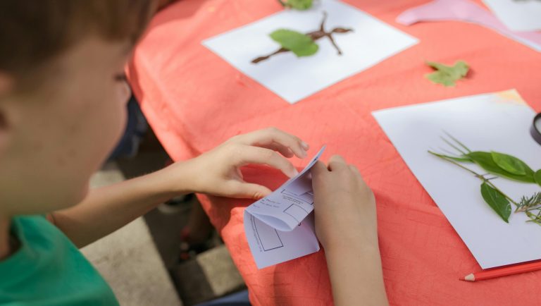 Polish region launches climate education programme for primary schools