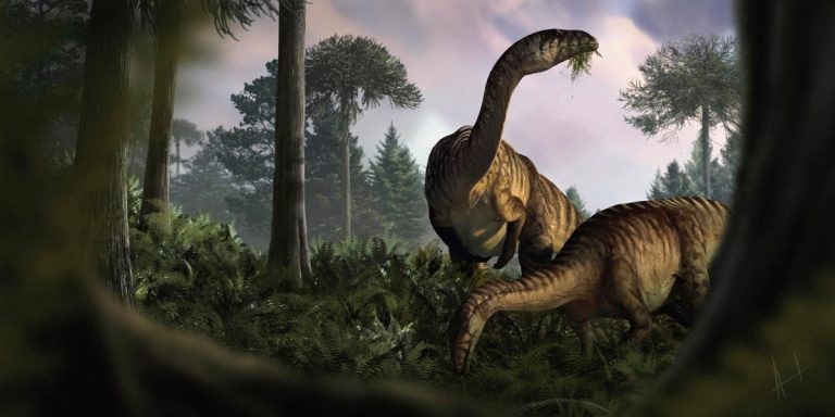 Fossilized dinosaur feces and vomit help scientists reconstruct the creatures’ rise